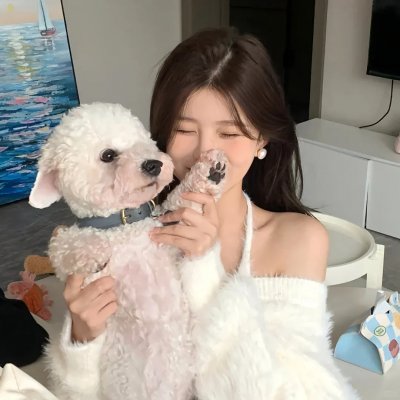 被炉、蜜桔和小猫